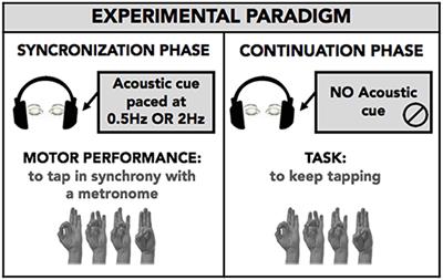 Motor Timing in Tourette Syndrome: The Effect of Movement Lateralization and Bimanual Coordination